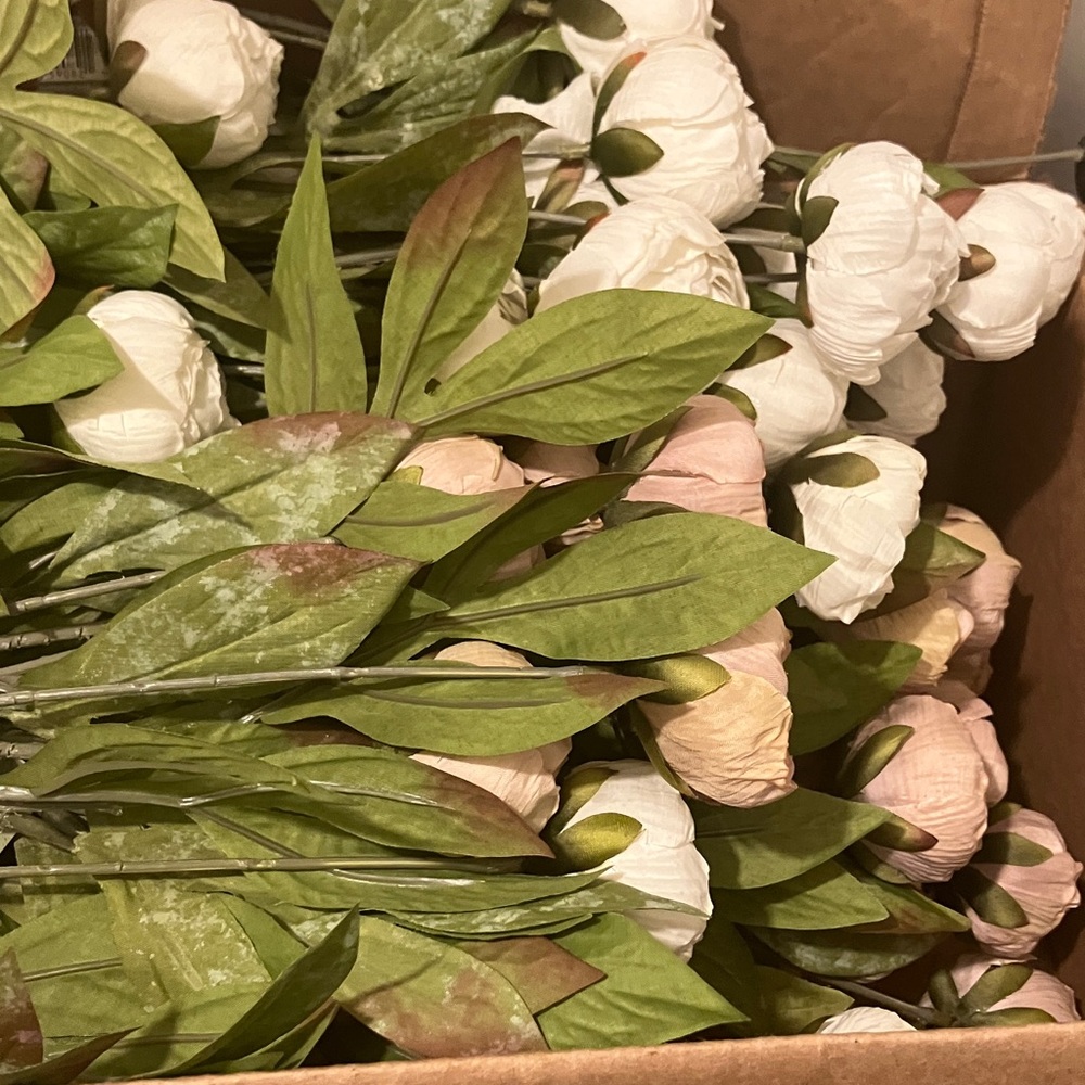Ashland peony cream and tan stems